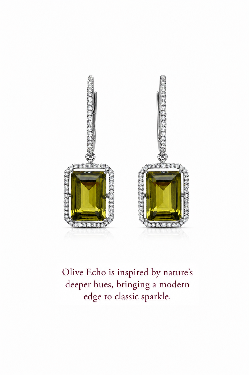 Olive echo - Image 2
